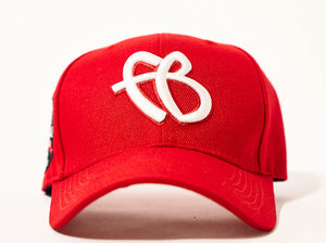 Boné FUBU Logo - Aba Curva